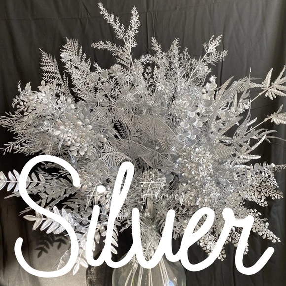 SILVER - Picture 1 of 1